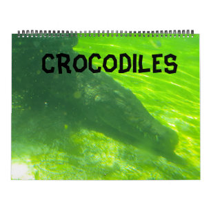 Calendário Crocodilo