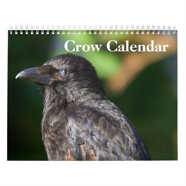 Calendário Crow Raven 2025 (Capa)