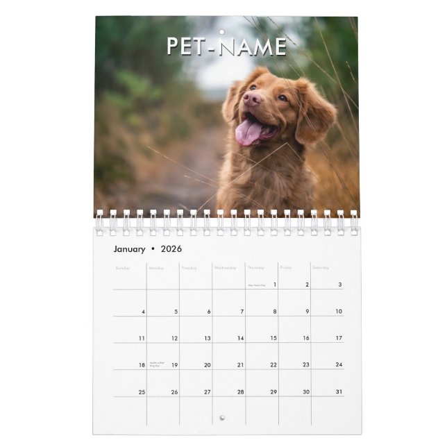 Calendário Custom 14 Photo Pet Dog 14 Name Picture Template (Jan 2026)