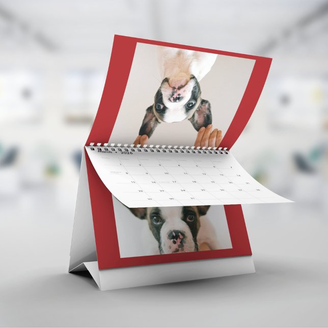 Calendário Custom Red Pet Photo  (Criador carregado)