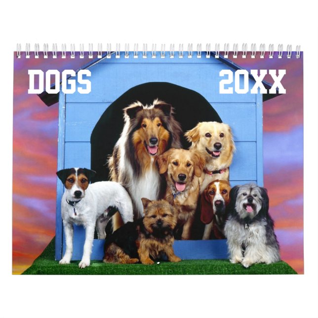 Calendário customizável dos cães (Capa)