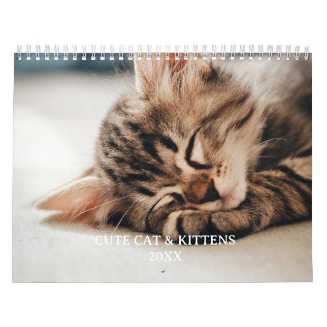 Calendário Cute Kitten And Cat Pet Photo (Capa)