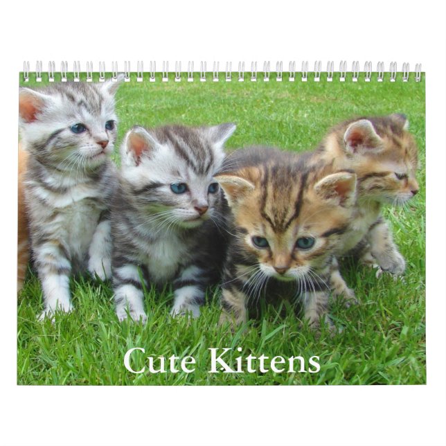 Calendário Cute Kitten Calendar (Capa)