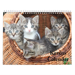 Calendário Cute Kittens 2022 Tigre Bengala