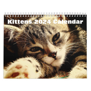 Calendário Cute Kittens 2024