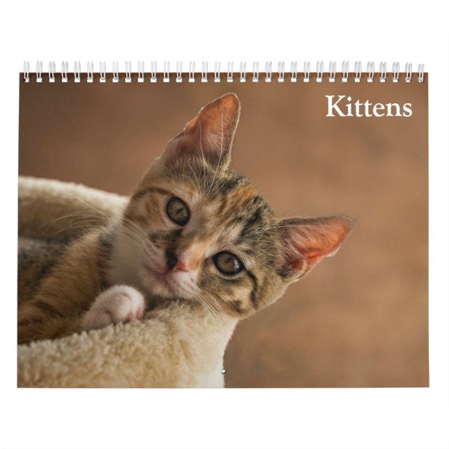 Calendário Cute Kittens 2025 (Capa)