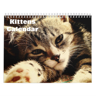 Calendário Cute Kittens 2025