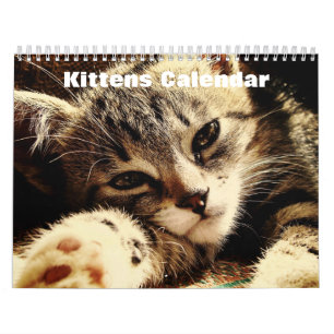 Calendário Cute Kittens 2025