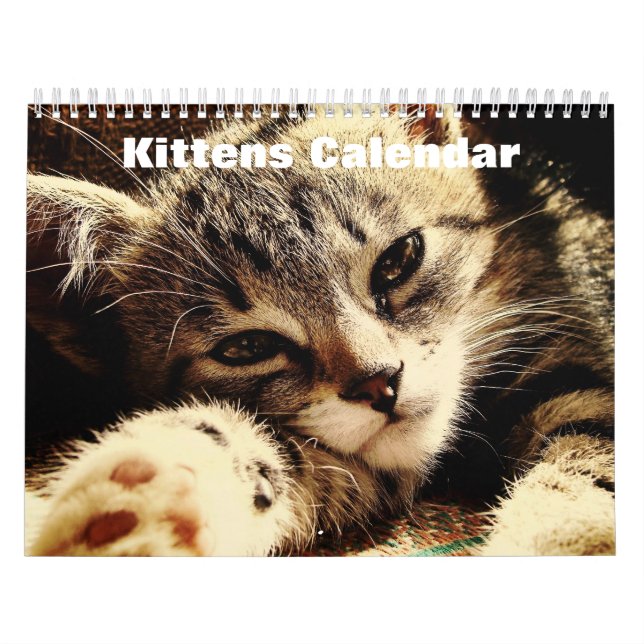 Calendário Cute Kittens 2025 (Capa)