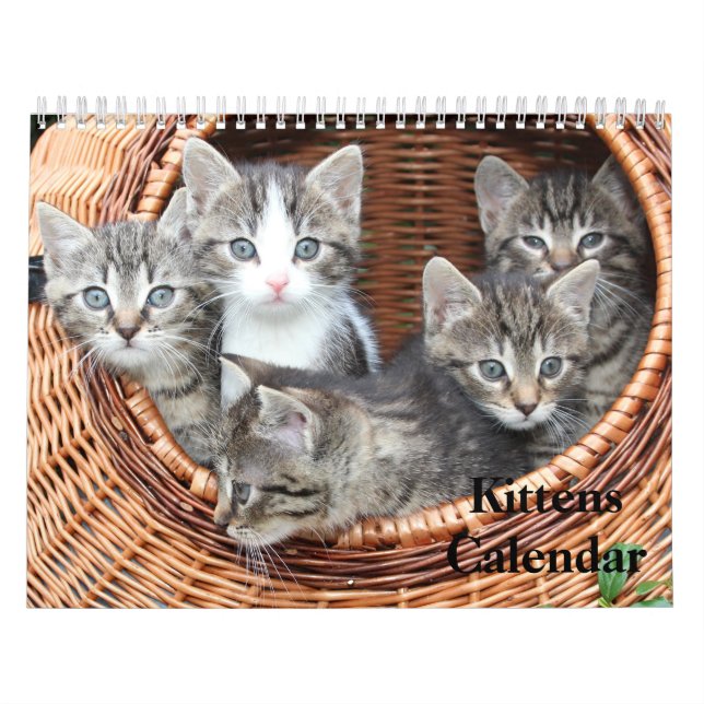 Calendário Cute Kittens 2025 Tigre Bengala (Capa)
