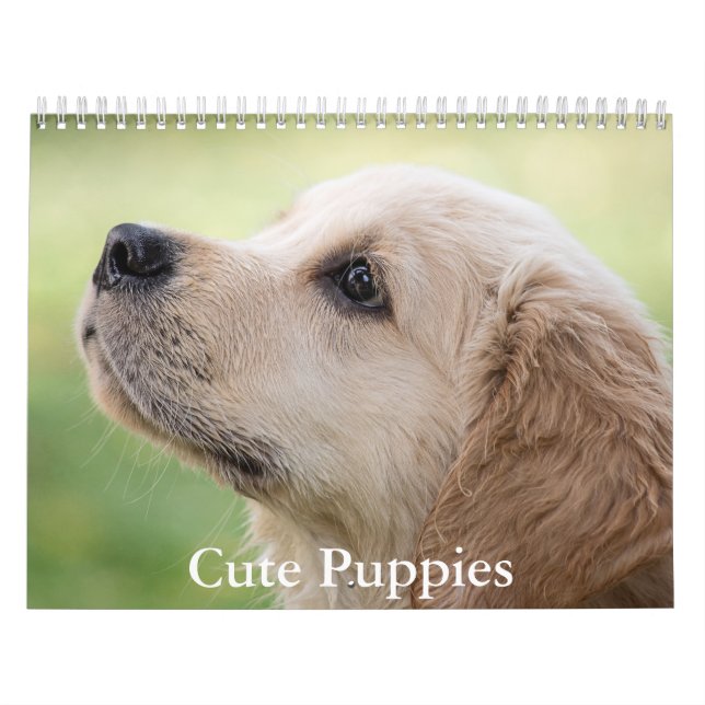 Calendário Cute Puppies Calendar (Capa)