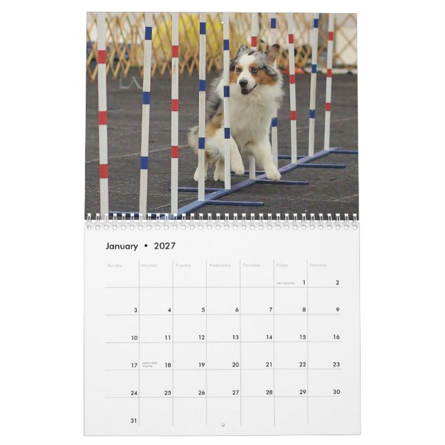 Calendário da agilidade do pastor de 2013 (Jan 2027)