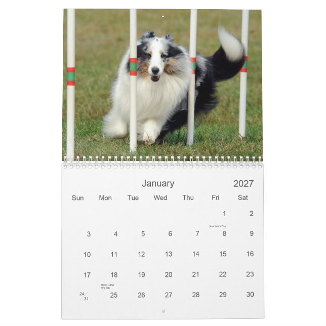 Calendário da agilidade do Sheepdog de Shetland (Jan 2027)