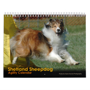 Calendário da agilidade do Sheepdog de Shetland