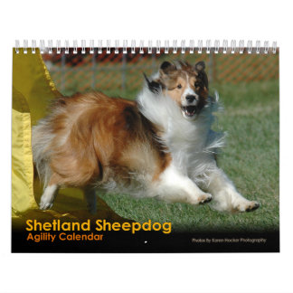 Calendário da agilidade do Sheepdog de Shetland