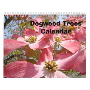Calendário da Árvore Cornus Pink Dogwoods Flores a