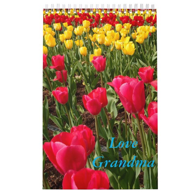 Calendário da avó do amor (Capa)