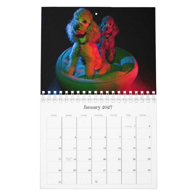 Calendário da caniche de brinquedo 2010 (Jan 2027)