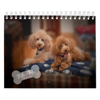 Calendário da caniche de brinquedo 2010