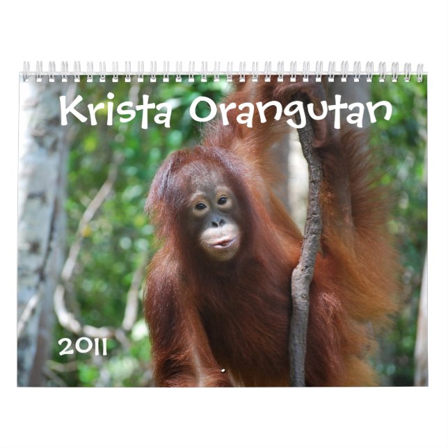 Calendário da caridade dos animais selvagens do (Capa)