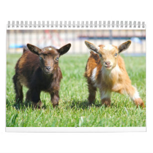 Calendário da Casa de Pássaros e Barn