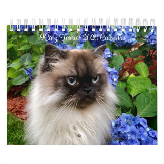 Calendário da Equipe do ICatz Forever 2020