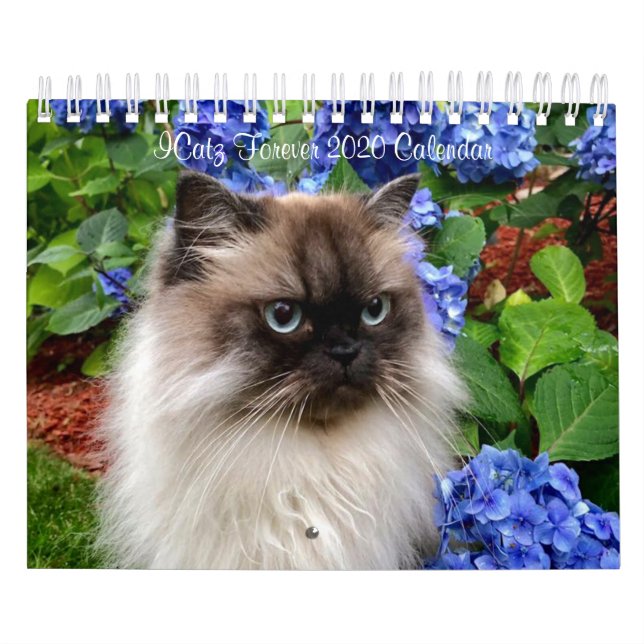 Calendário da Equipe do ICatz Forever 2020 (Capa)