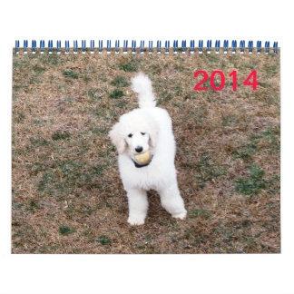 Calendário da Família