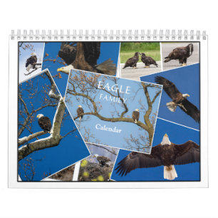 Calendário da Família Águia