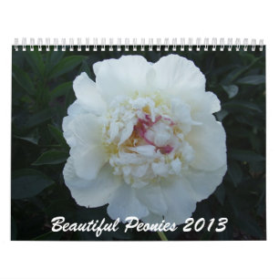 Calendário da flor das peônias 2013