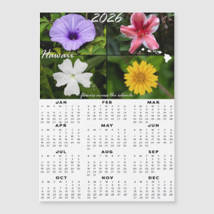 Calendário da Flor Havaiana 2026 (Magnético x4)
