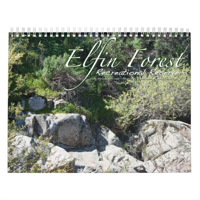 Calendário da Floresta Elfin (Capa)