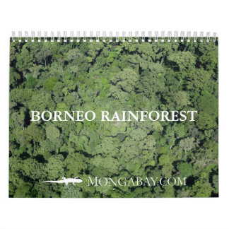 Calendário da floresta húmida de Bornéu