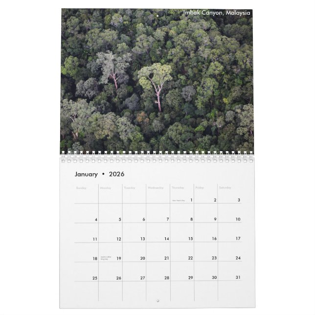 Calendário da floresta húmida de Bornéu (Jan 2026)