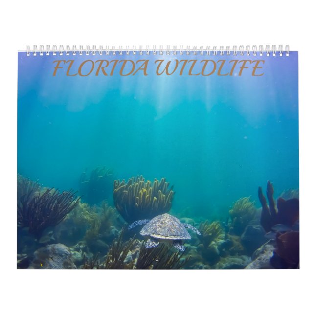 Calendário da Florida Wildlife 2020 (Capa)