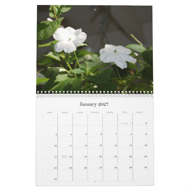 Calendário da foto de 2008 flores (Jan 2027)