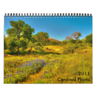 Calendário da foto de 2011 cardeais