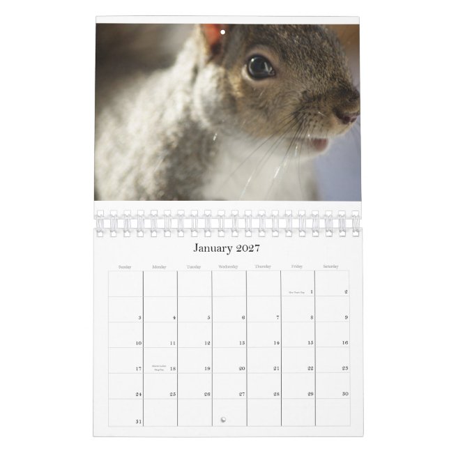 Calendário da foto do espião do olho (Jan 2027)
