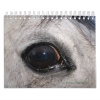 Calendário da foto do espião do olho