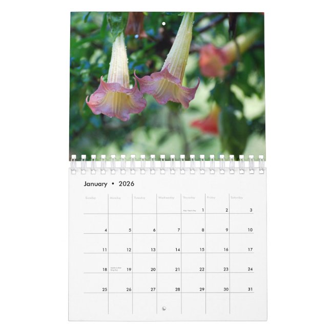 Calendário da fotografia da natureza (Jan 2026)