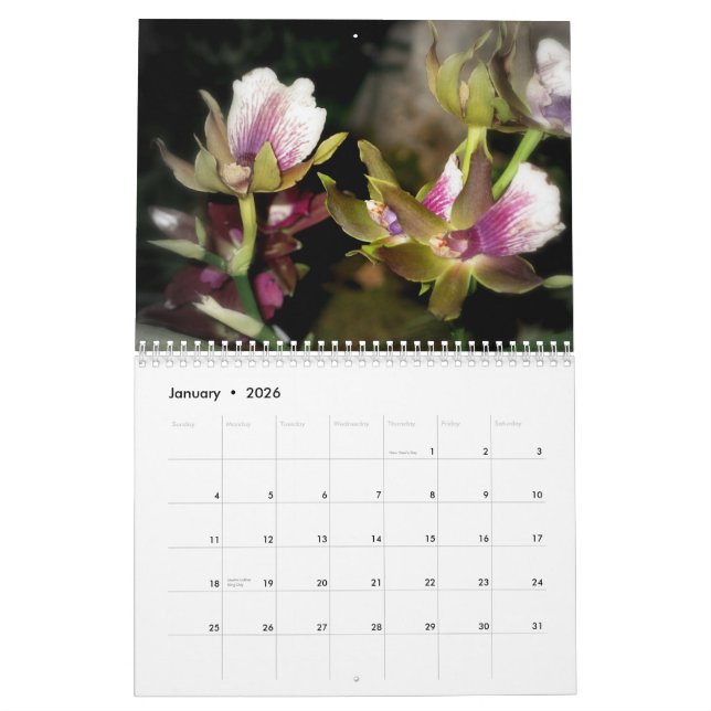 Calendário da fotografia de 2010 flores (Jan 2026)