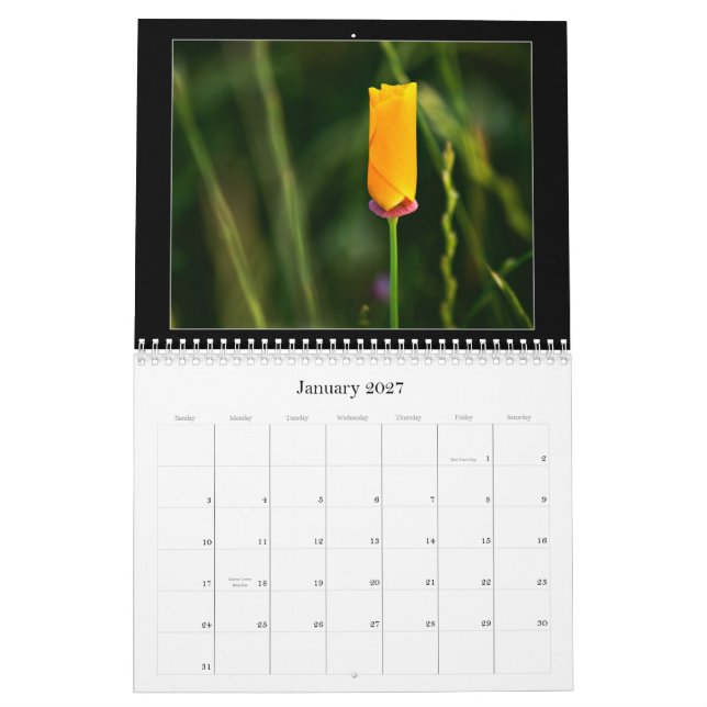 Calendário da fotografia de cor 2010 (Jan 2027)