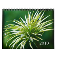 Calendário da fotografia de cor 2010