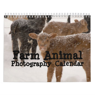 Calendário da fotografia do animal de fazenda