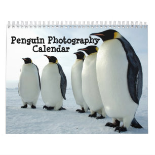 Calendário da fotografia do pinguim