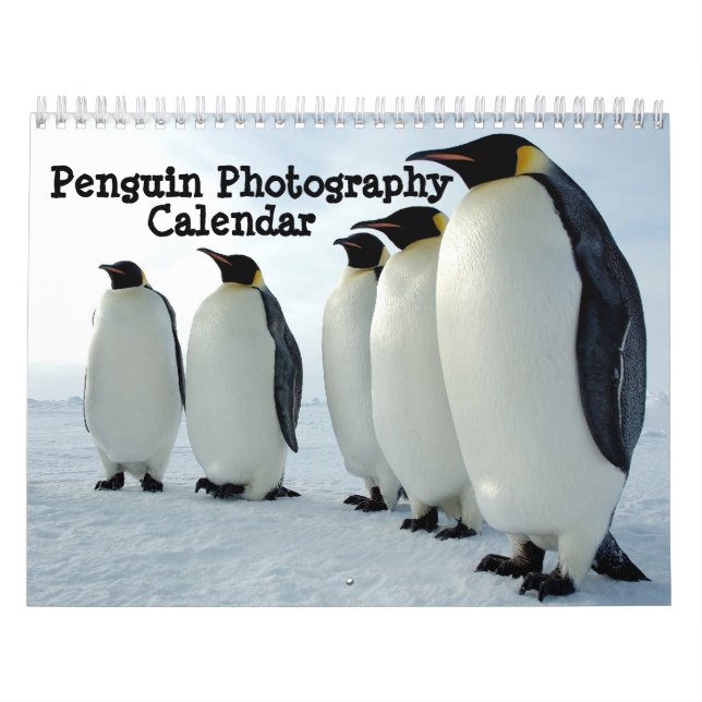 Calendário da fotografia do pinguim (Capa)