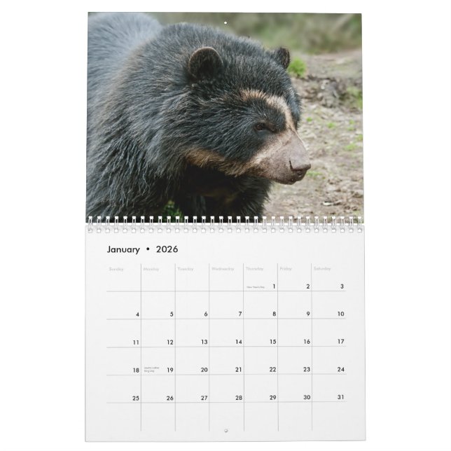 Calendário da Fundação Andean Bear 2013 (Jan 2026)
