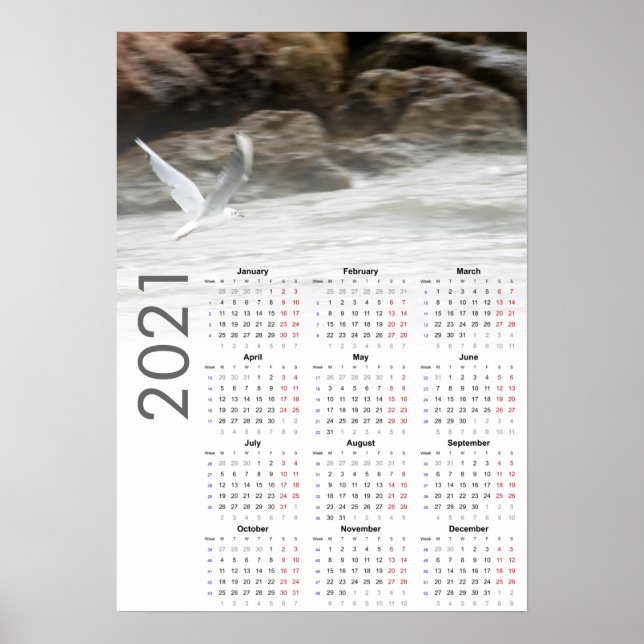 Calendário da Gaivota 2021 Poster - Segunda-feira  (Frente)