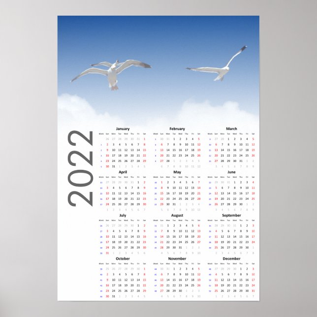 Calendário da Gaivota 2022 Poster - Domingo primei (Frente)