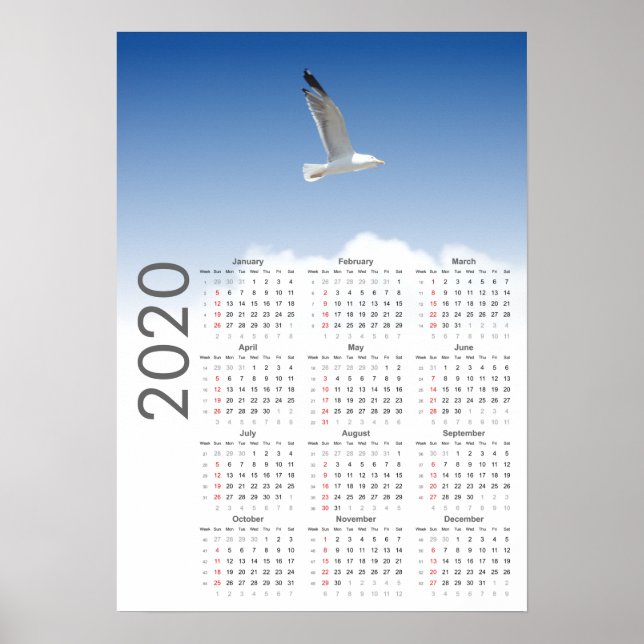 Calendário da Gaivota Poster 2020 (Frente)